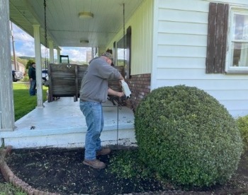 United way team member trimming hedge